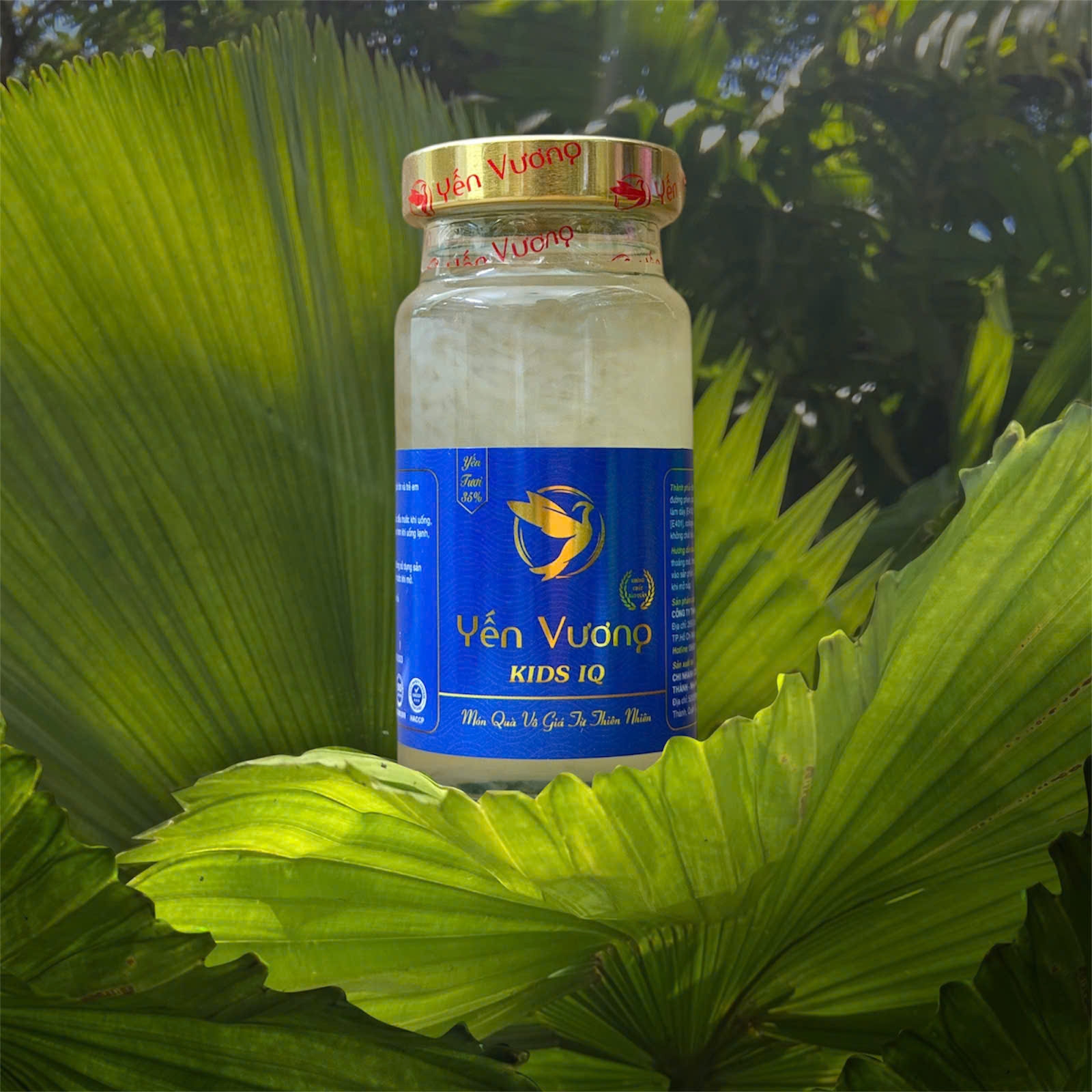 Hũ yến Vương 140ml Kids IQ